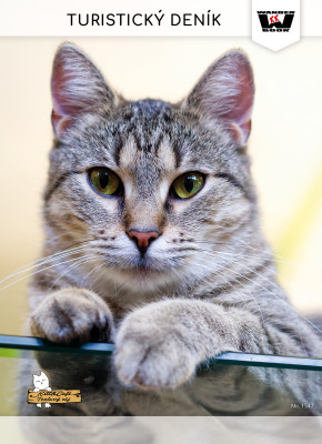 Kitt&Café Toulavý ráj v Kroměříži