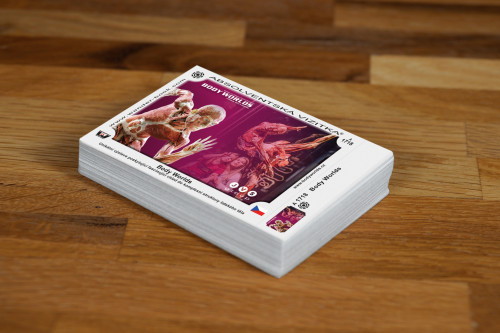 Výstava Body Worlds v Praze