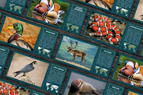 Nově vydané Fotonálepky v sérii Fauna