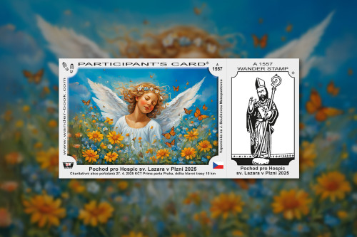 Pochod pro Hospic sv. Lazara v Plzni