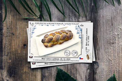 Mezi rybou a ptákem