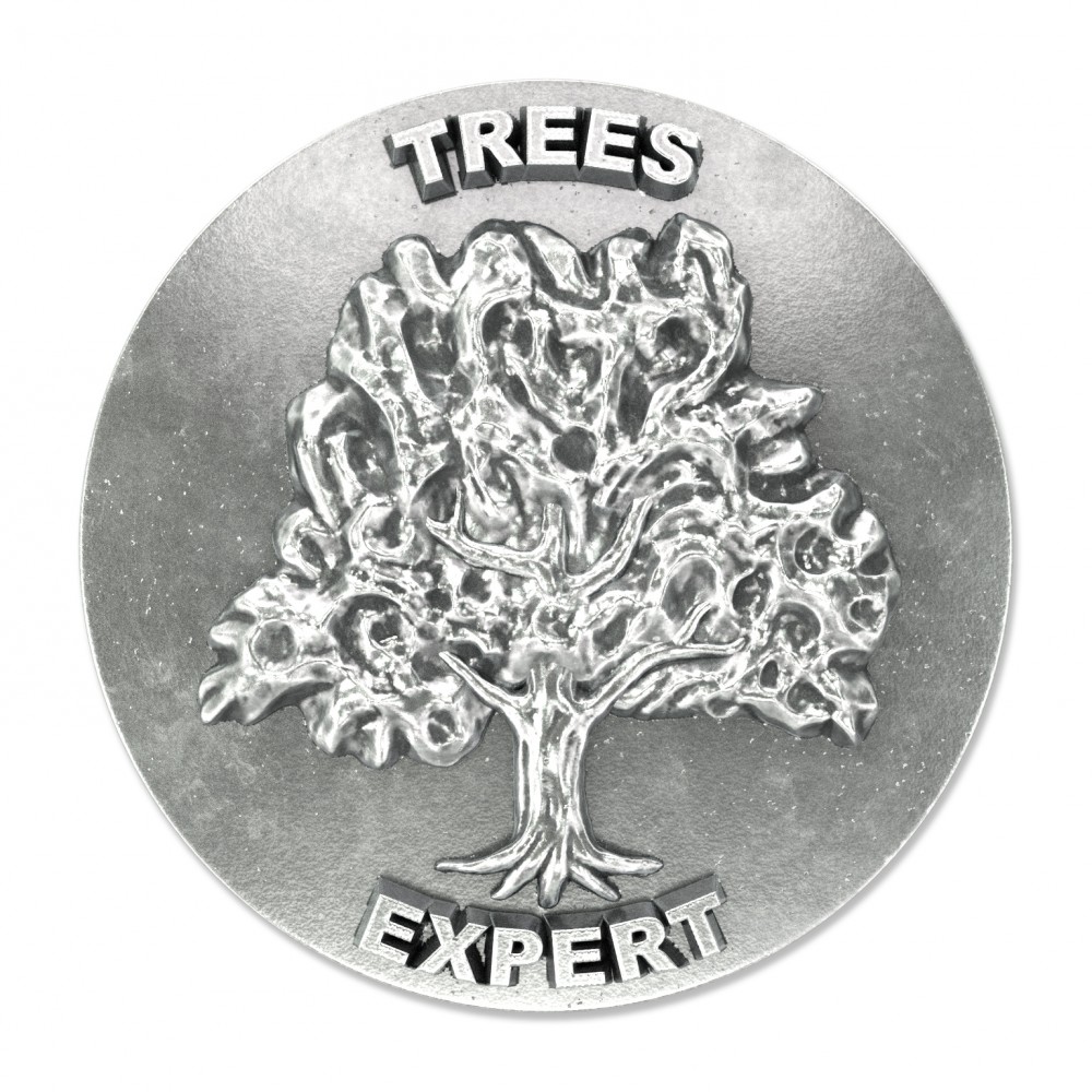 Expert – Drzewa 100