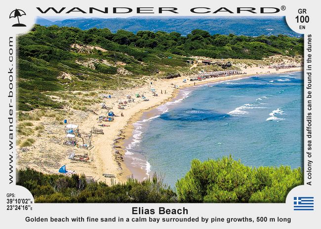 Παραλία Ελιάς