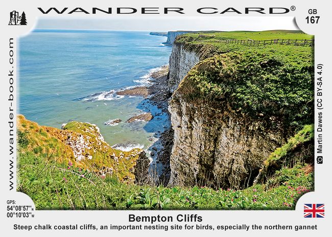 Bempton Cliffs