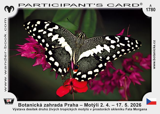 Botanická zahrada Praha – Motýli 2. 4. – 17. 5. 2026