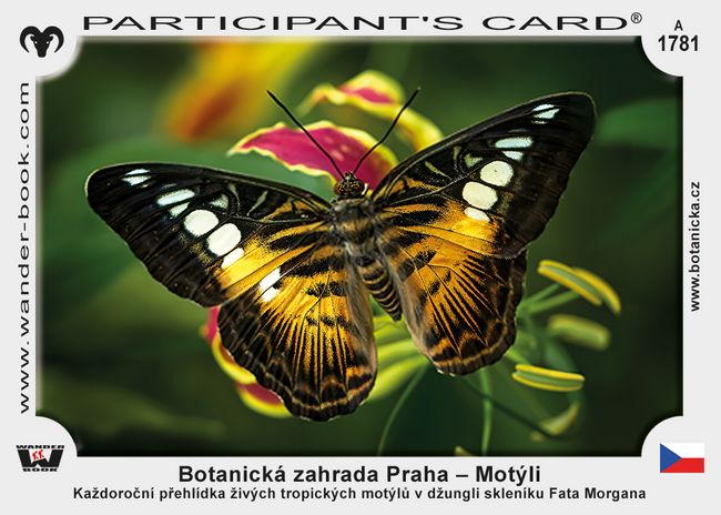 Botanická zahrada Praha – Motýli