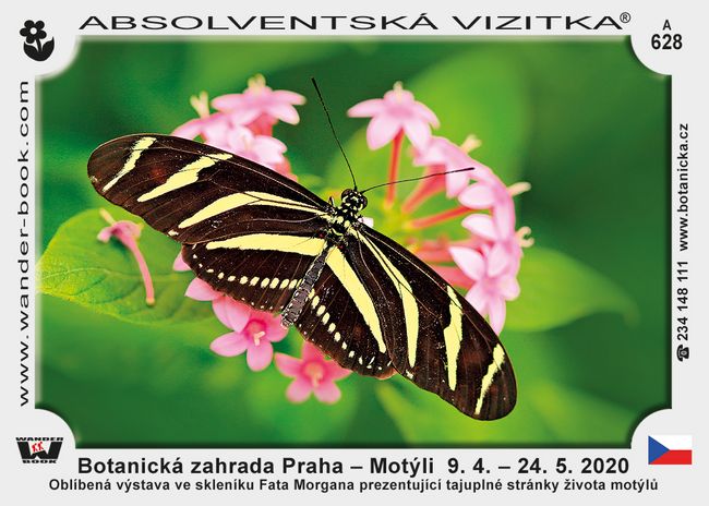 Botanická zahrada Praha – Motýli  9. 4. – 24. 5. 2020