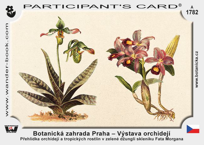 Botanická zahrada Praha – Výstava orchidejí