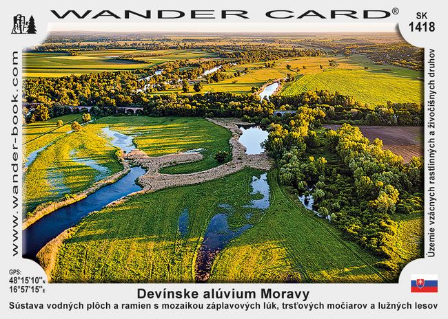 Devínske alúvium Moravy