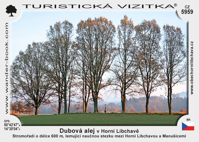 Dubová alej v Horní Libchavě