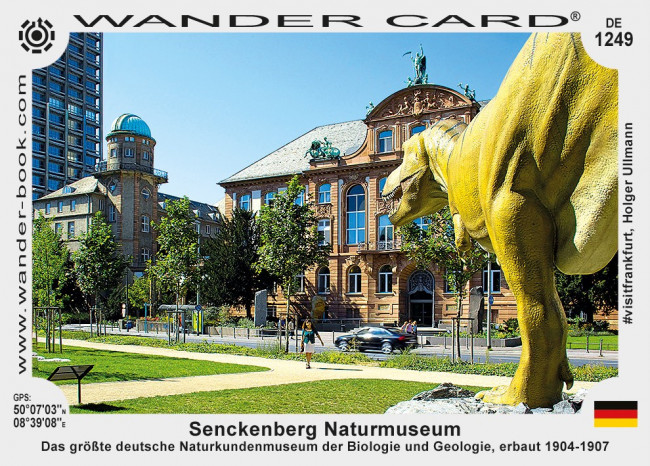 Senckenberg Naturmuseum