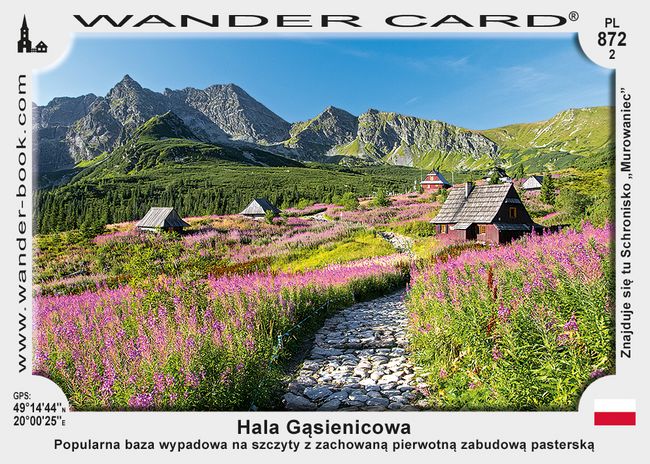 Hala Gąsienicowa