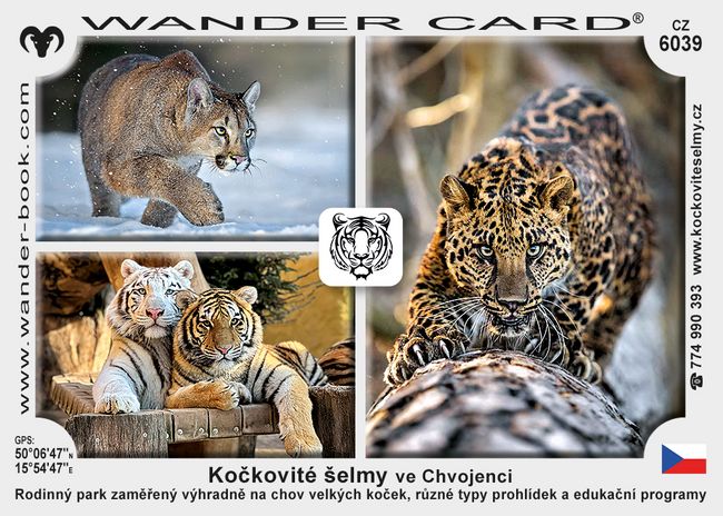 Kočkovité šelmy ve Chvojenci