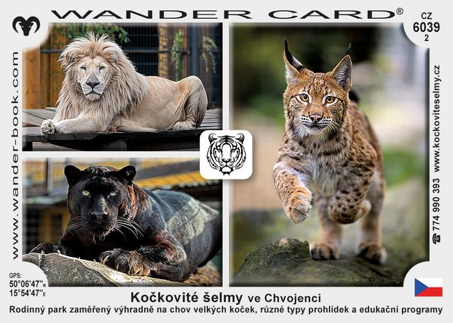 Kočkovité šelmy ve Chvojenci