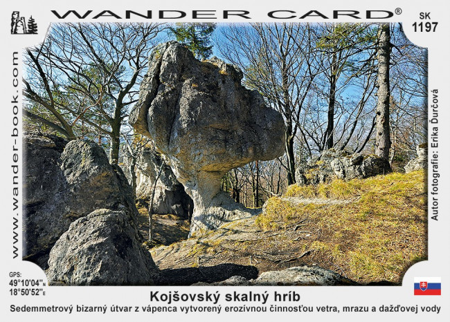 Kojšovský skalný hríb