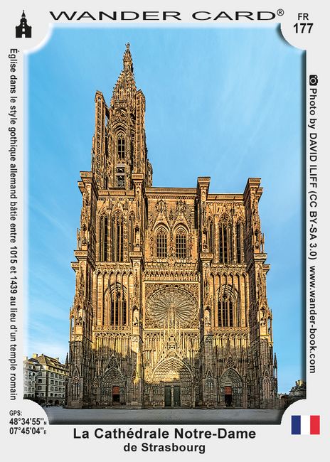 La Cathédrale Notre-Dame de Strasbourg