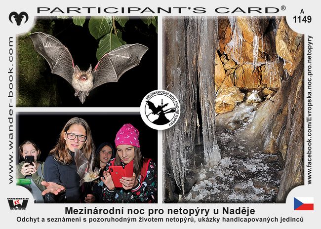 Mezinárodní noc pro netopýry u Naděje