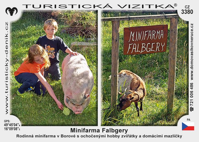 Minifarma Falbgery