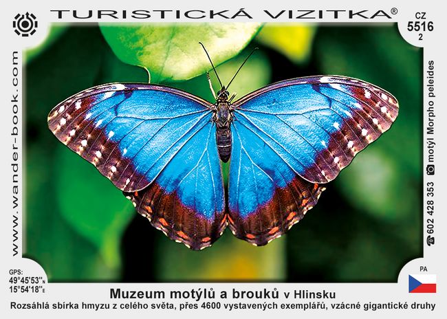 Muzeum motýlů a brouků v Hlinsku