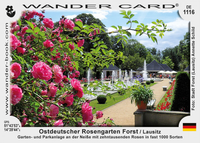 Ostdeutscher Rosengarten Forst / Lausitz