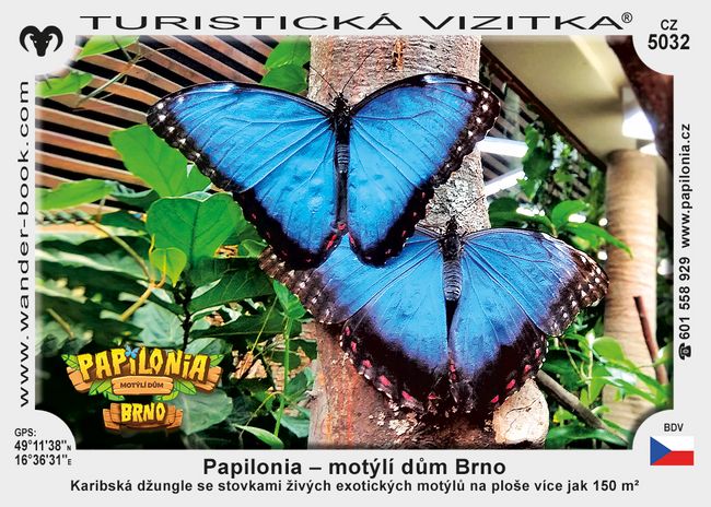 Papilonia – motýlí dům Brno