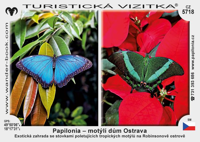Papilonia – motýlí dům Ostrava
