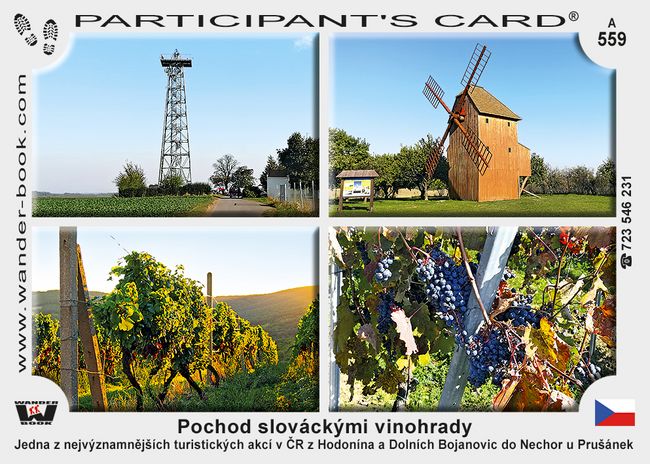 Pochod slováckými vinohrady