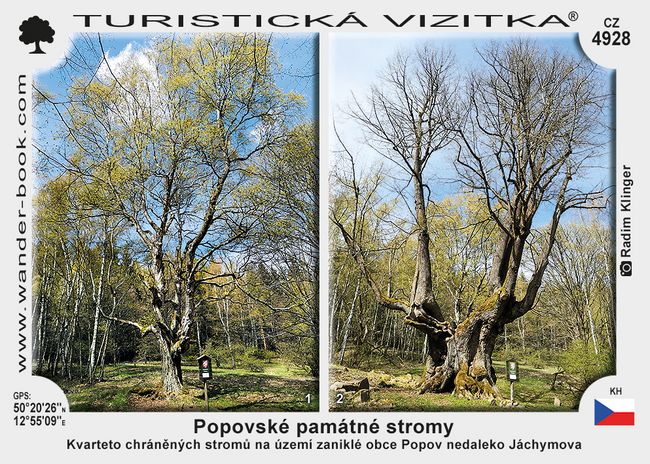 Popovské památné stromy