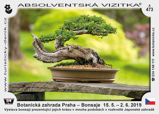 Botanická zahrada Praha – Bonsaje  15. 5. – 2. 6. 2019