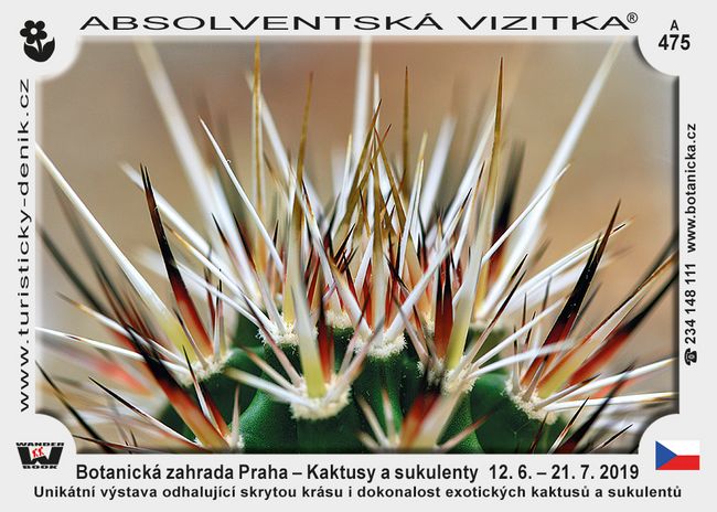 Botanická zahrada Praha – Kaktusy a sukulenty  12. 6. – 21. 7. 2019