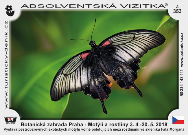Praha botanická motýli 2018