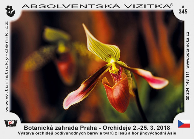 Praha botanická orchideje 2018