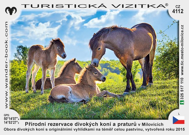 Přírodní rezervace divokých koní a praturů v Milovicích