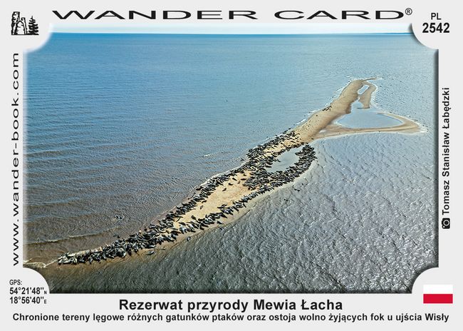 Rezerwat przyrody Mewia Łacha