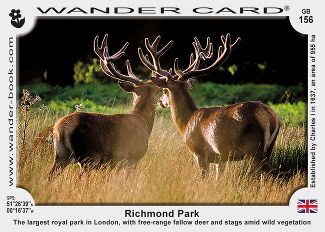 Richmond Park