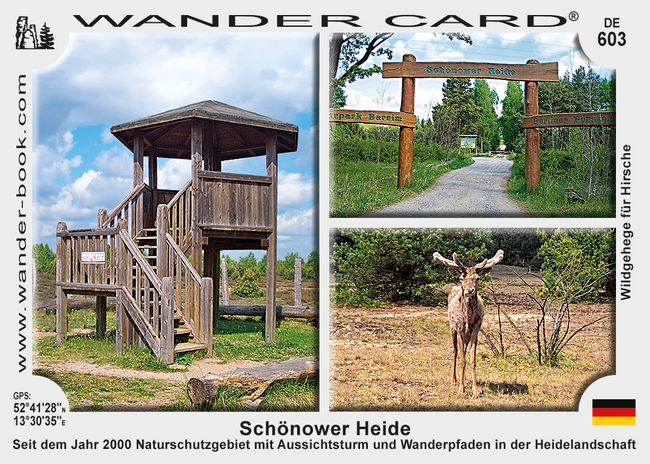 Schonower Heide