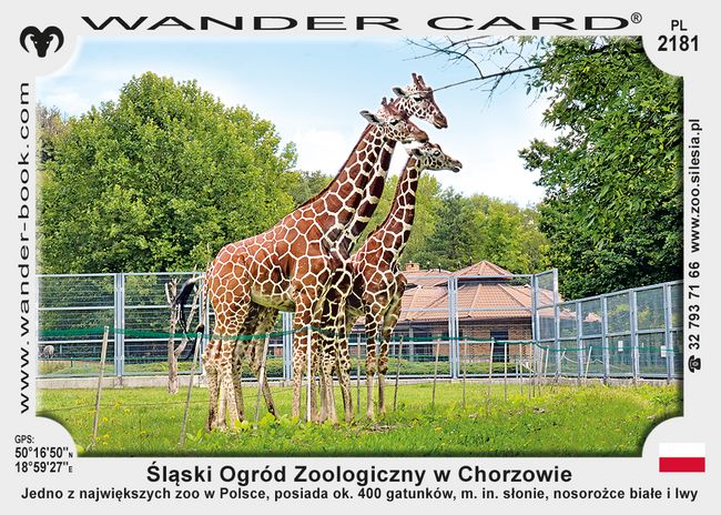 Śląski Ogród Zoologiczny w Chorzowie