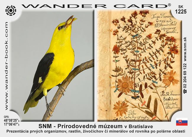 SNM – Prírodovedné múzeum v Bratislave