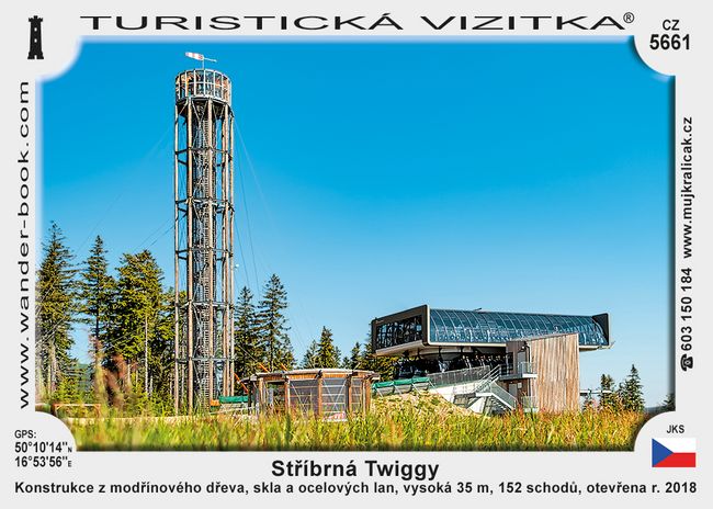 Stříbrná Twiggy