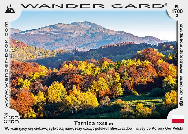 Tarnica