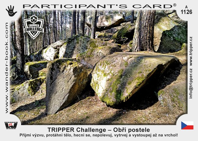 TRIPPER Challenge – Obří postele