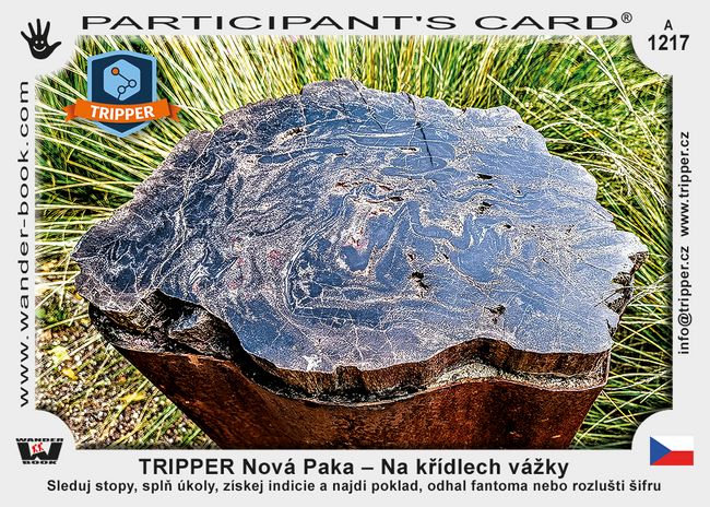 TRIPPER Nová Paka – Na křídlech vážky