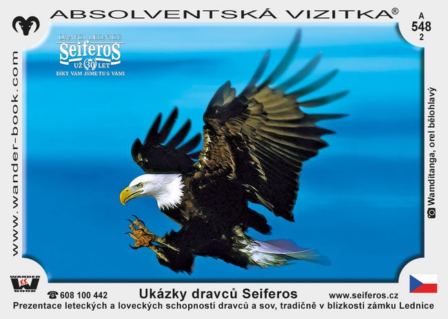 Ukázky dravců Seiferos