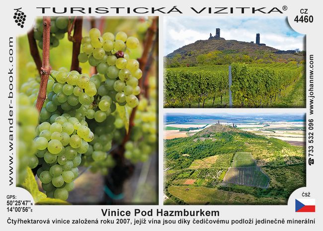 Vinice Pod Hazmburkem