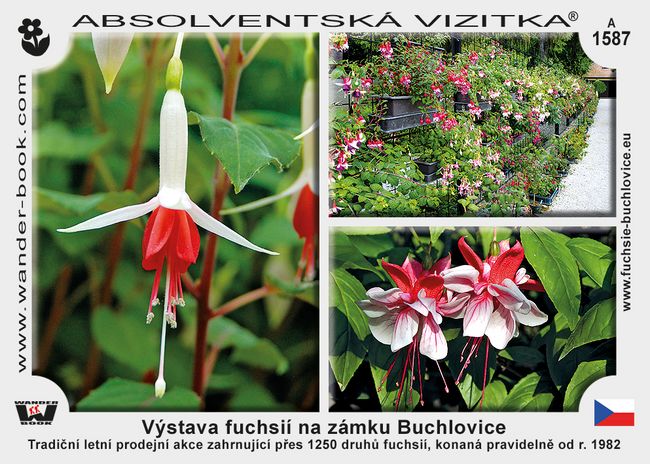 Výstava fuchsií na zámku Buchlovice