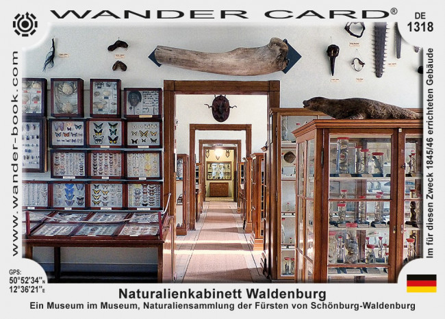 Naturalienkabinett Waldenburg