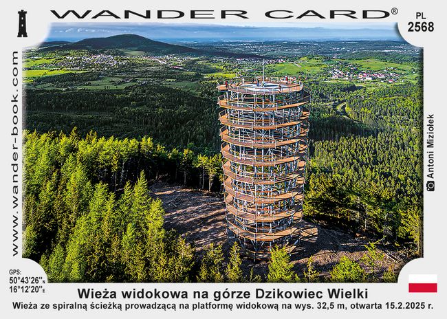 Wieża widokowa na górze Dzikowiec Wielki