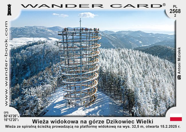 Wieża widokowa na górze Dzikowiec Wielki