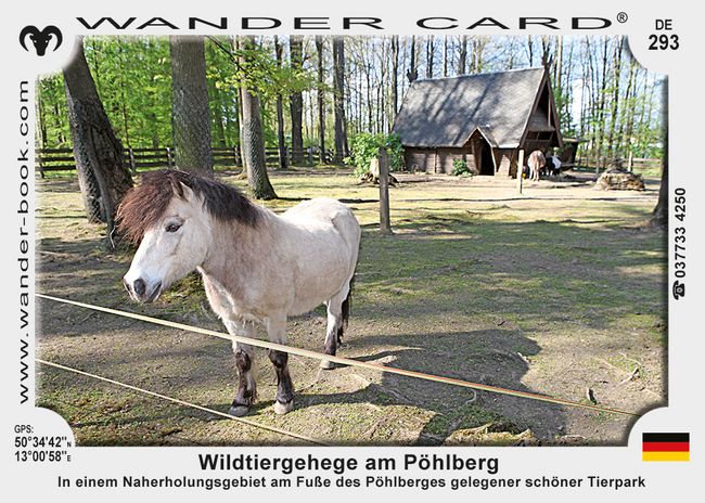 Wildtiergehege am Pöhlberg