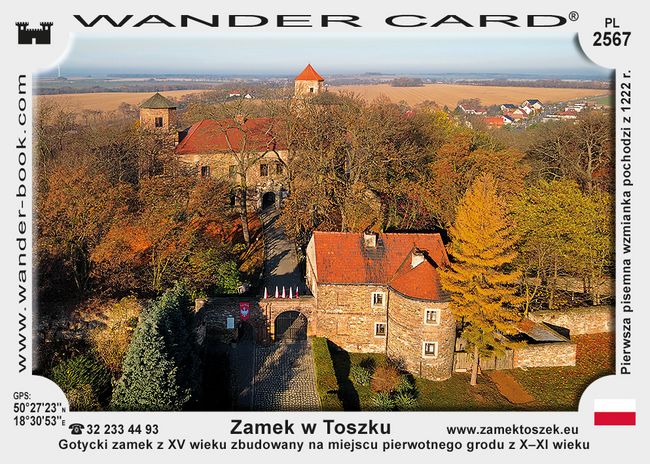 Zamek w Toszku